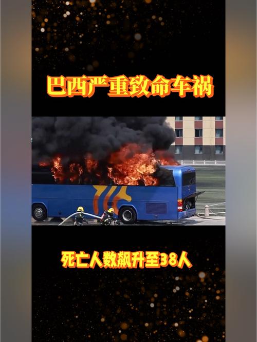 os-numeros-da-mega-sena-da-virada - Mercado de apostas brasileiro